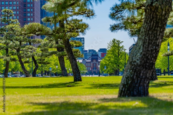 Fototapeta 東京の都市風景 皇居外苑から見える東京駅