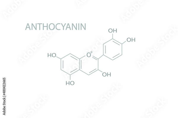 Fototapeta Anthocyanin molecular skeletal chemical formula.