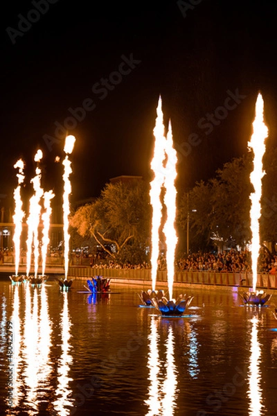 Fototapeta Fire Flames from Flower Structures