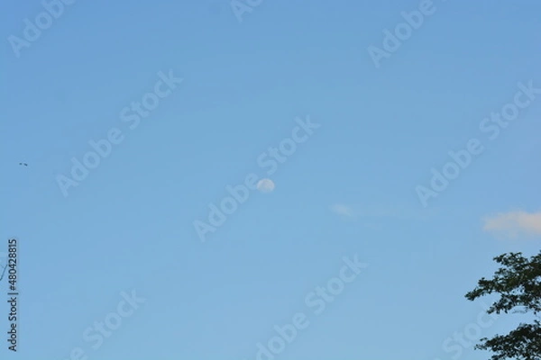 Fototapeta moon in the sky