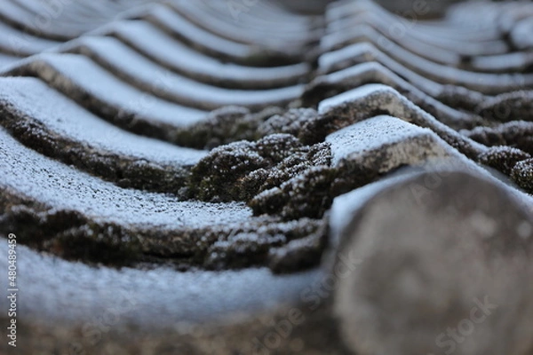 Obraz 凍結した瓦、日本の冬の風景