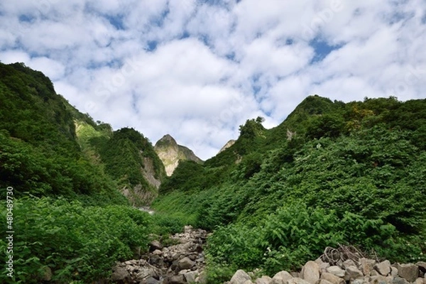 Obraz 雨飾山の布団菱