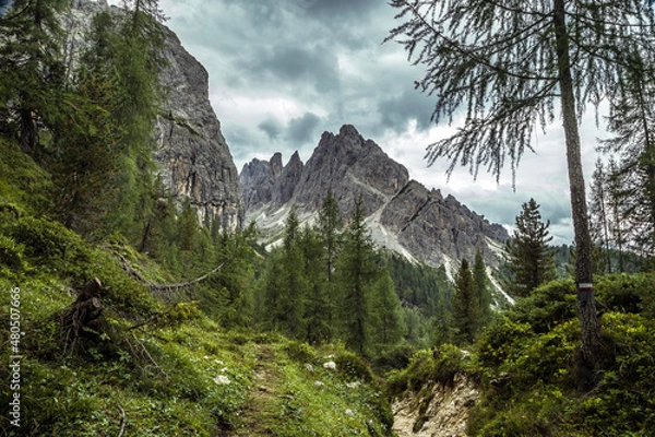 Fototapeta Alta via mountain path in dolomite pine forest, Italy, Trentino