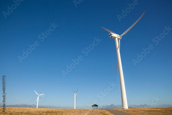 Fototapeta Wind turbine in a wheat field in Western Cape, South Africa, used to generate clean energy for the national grid.