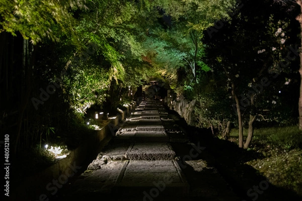 Fototapeta 高台寺 大阪京都御朱印巡り
