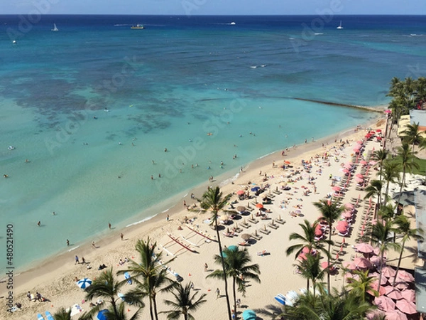 Obraz beach with trees