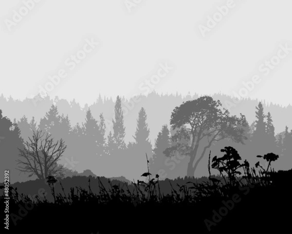 Obraz mysterious forest