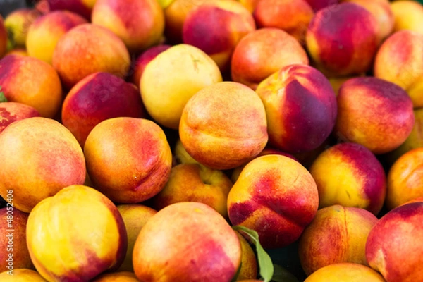 Obraz Group of colorful nectarine fruits from the market