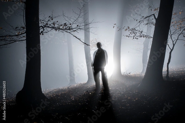 Obraz scary person silhouette in the dark forest. flashlight back lit.