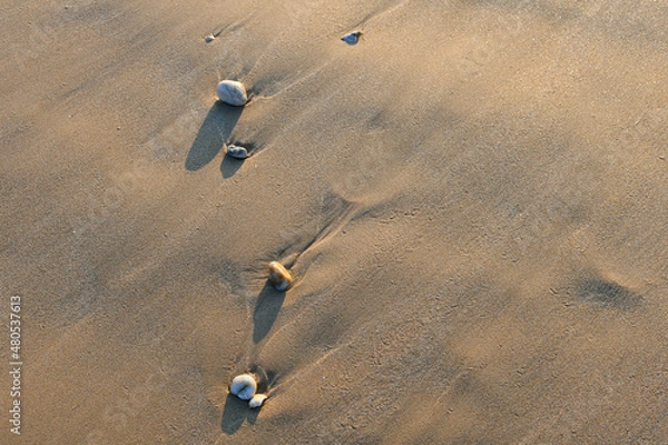 Obraz Quelques galets sur le sable laissés par la marée sous une douce lumière hivernale