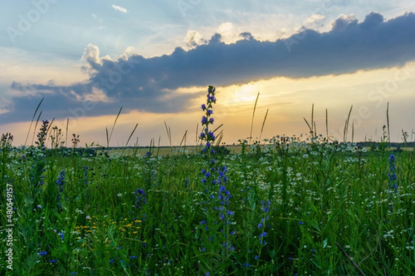 Obraz Места где стоит побывать