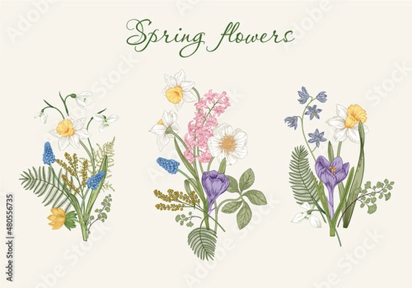 Obraz Spring flowers. Blooming garden. Vector illustration.