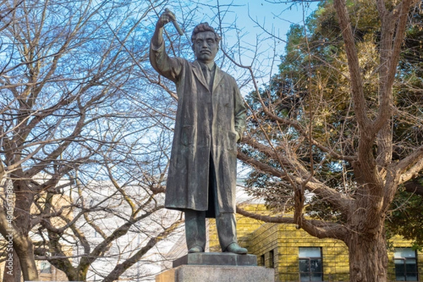 Fototapeta 台東区　上野恩賜公園の野口英世像