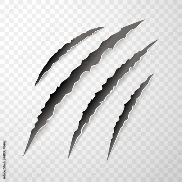 Obraz Animal claw paw marks, scratches, talons cuts cat, tiger, dog, lion, monster isolated. Vector realistic illustration.