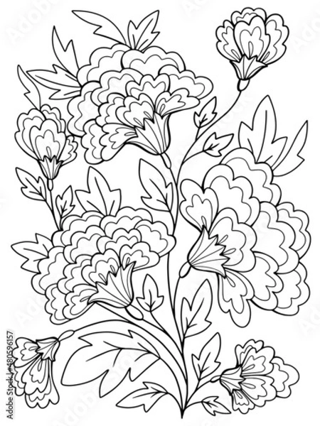 Obraz flowers graphics contour coloring for children and adults plants sketch hand-drawing on a white background isolate doodle anti-stress stroke