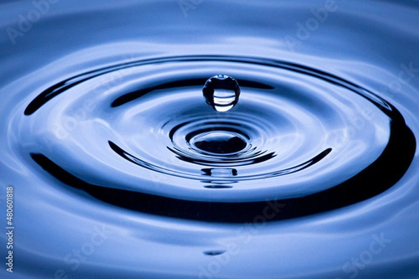 Fototapeta kropla wody