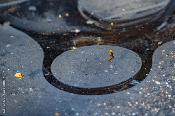 Fototapeta Flaque gelée