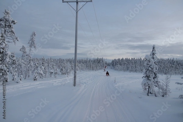 Obraz Snowmobile trip in lapland