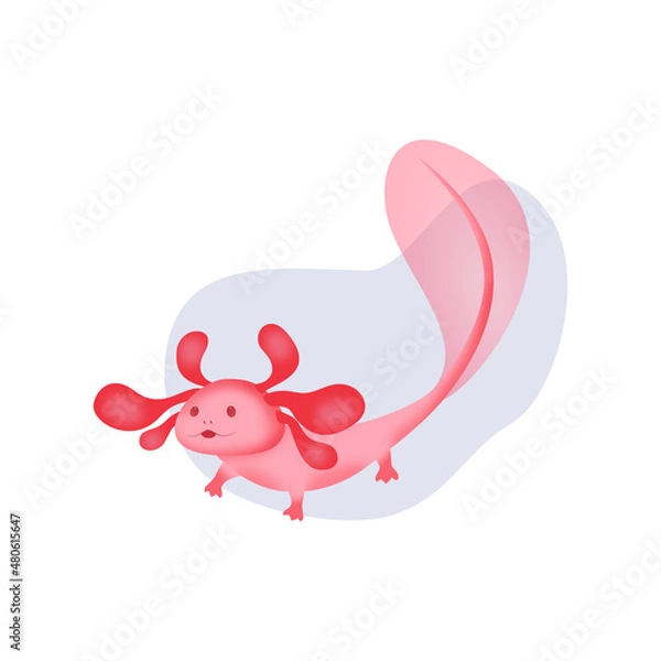 Fototapeta A cute pink axolotl floats in a drop of water and waves its fin. Vector image of a rare amphibian creature.