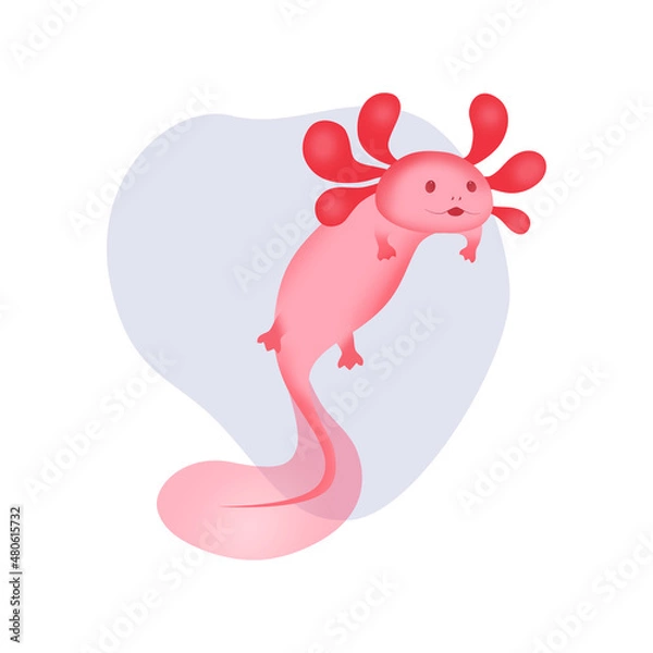 Fototapeta A cute pink axolotl floats in a drop of water and waves its fin. Vector image of a rare amphibian creature.