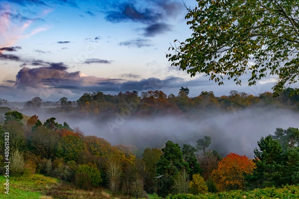 Obraz Beautiful misty view from Rosslyn chapel in Scotland