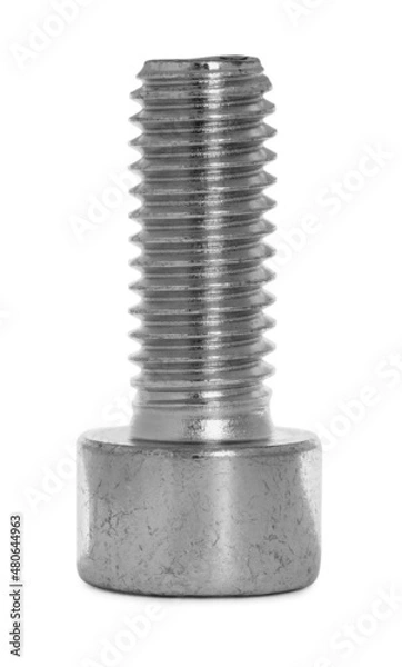 Obraz One metal socket bolt isolated on white