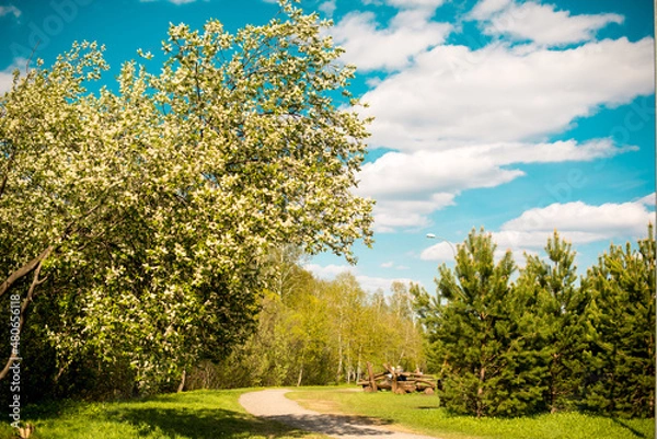 Obraz landscape with tree