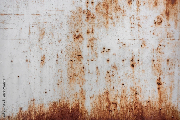 Obraz 錆びた白い鉄板