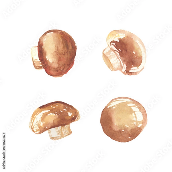 Obraz 水彩で描いたマッシュルームのイラスト