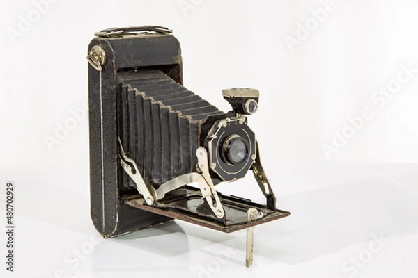 Obraz Vintage camera accordion