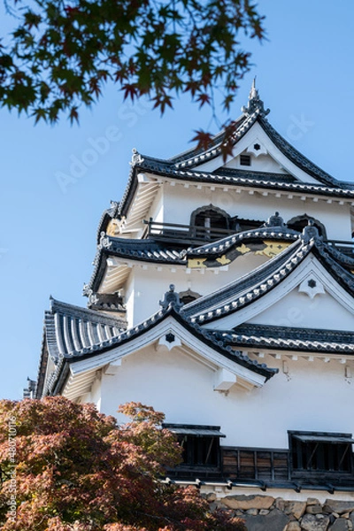 Fototapeta 彦根城と紅葉 秋