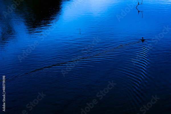 Obraz 静かな湖畔