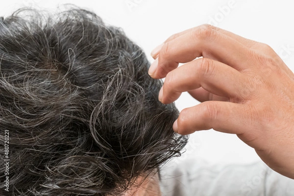 Fototapeta 白髪交じりの中年男性の頭