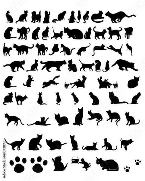 Obraz kedi siluet vektör