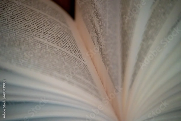 Fototapeta Open book pages close up