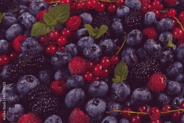 Fototapeta Blackberry, raspberry, blueberry,  red currant and mint background.
