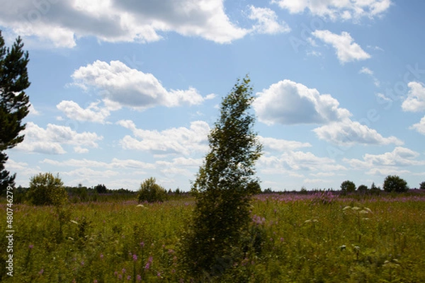 Obraz Природа Сибири