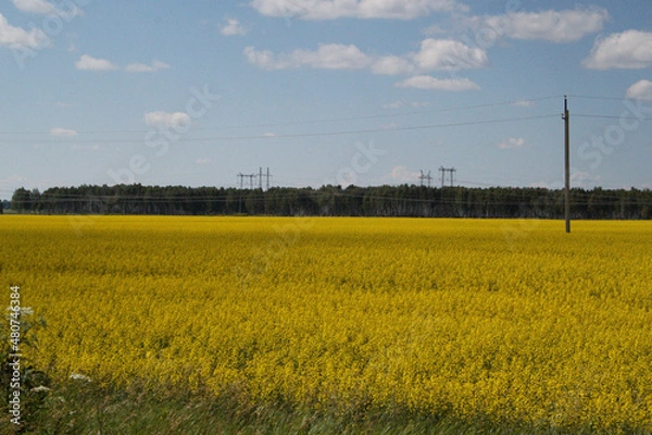 Obraz Природа Сибири