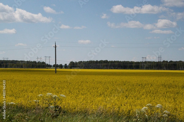 Obraz Природа Сибири