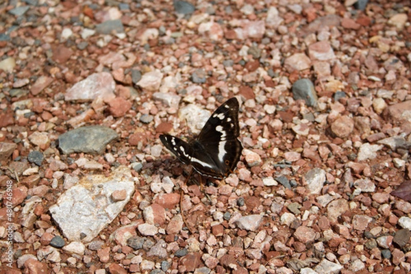 Obraz Природа Хакасии