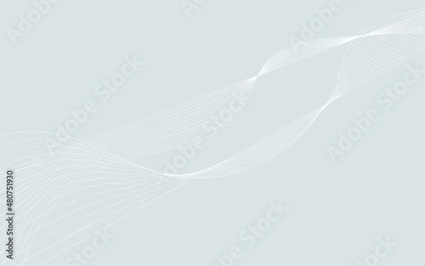 Fototapeta Vector illustration of the patter of the lines abstract gray background.EPS10.