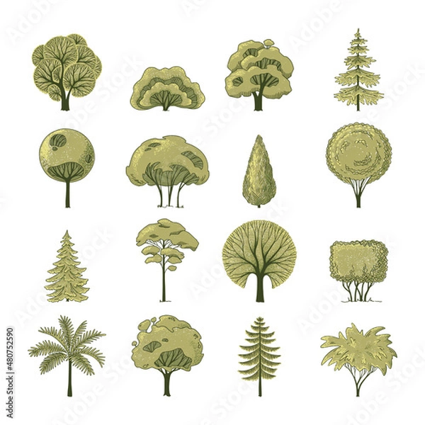 Fototapeta Flat forest trees camping elements for landscape design. Different trees in side view. 