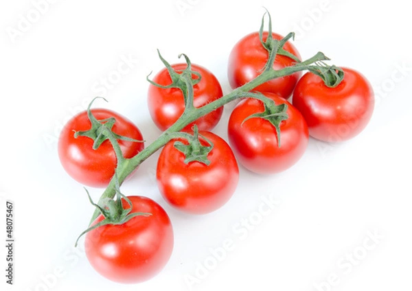Fototapeta Tomaten