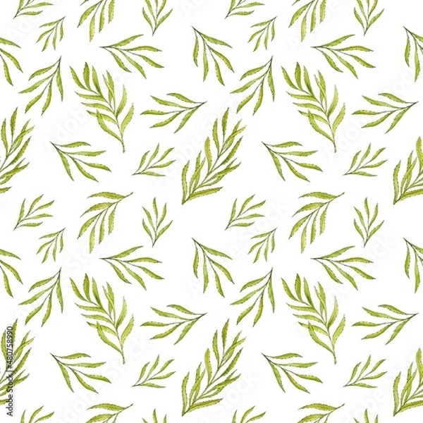 Fototapeta Narrow green decorative tree branches with willow leaves on a white background. Seamless square pattern. Watercolor