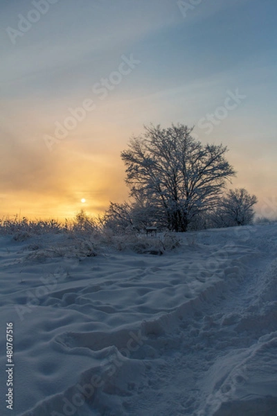 Fototapeta sunset in winter