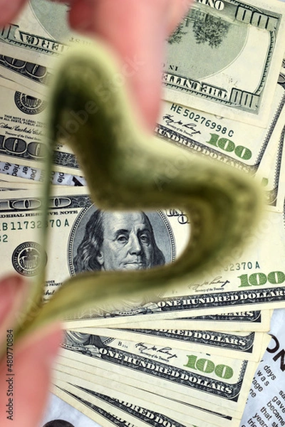 Obraz money in the form of heart