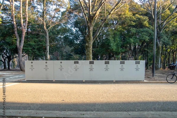 Fototapeta 代々木公園の散歩