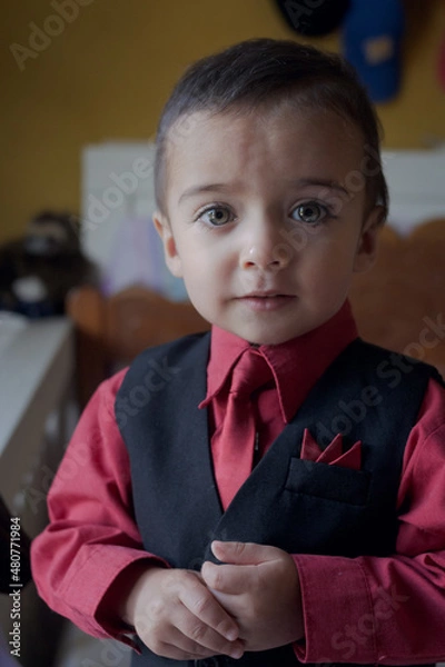 Fototapeta portrait of elegant little boy gesturing