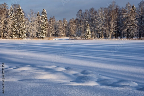 Obraz Beautiful winter landscape.