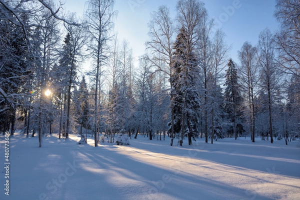 Obraz Beautiful winter landscape.